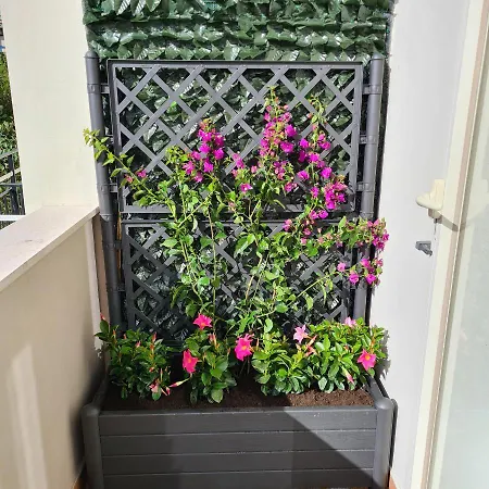 Maison Flavia Sorrento Exterior photo
